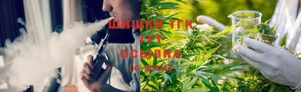 бошки Дмитров