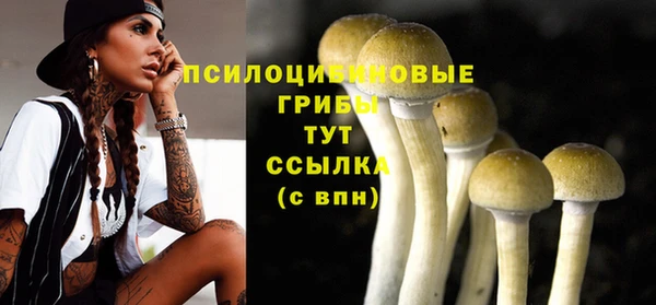бошки Дмитров