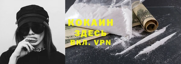 бошки Дмитров