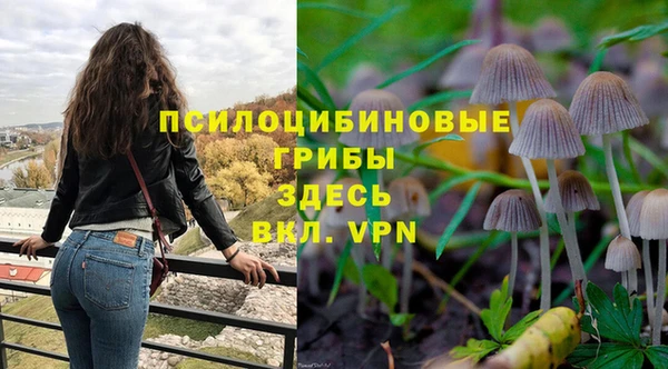 бошки Дмитров